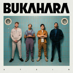 Stein Chords by Bukahara
