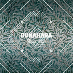Strange Delight Chords by Bukahara