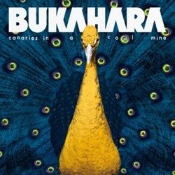 The Vulture And The Little Boy Chords by Bukahara