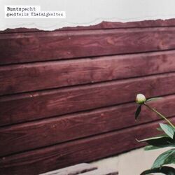 Der Bua Intro by Buntspecht