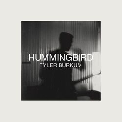 Hummingbird by Tyler Burkum