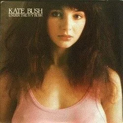 You're The One Chords by Kate Bush