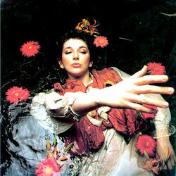 Jig Of Life by Kate Bush