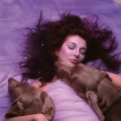 Running Up That Hill  by Kate Bush