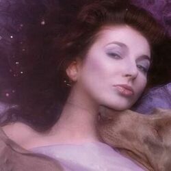 Running Up That Hill  by Kate Bush