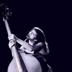 Violin Bass Tab by Kate Bush