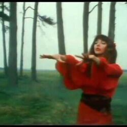 Wuthering Heights by Kate Bush