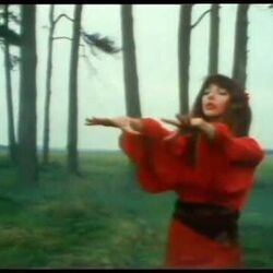 Wuthering Heights Bass Tab by Kate Bush