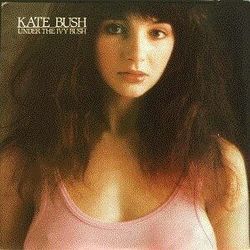 You're The One by Kate Bush