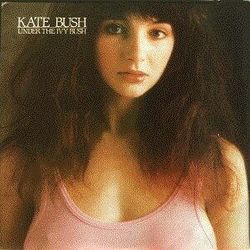You're The One Chords by Kate Bush