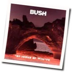 The Sound Of Winter Tab by Bush