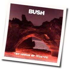 The Sound Of Winter Tabs by Bush