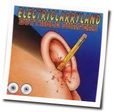 Birds Tab by Butthole Surfers