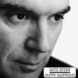 The Man Who Loved Beer Chords by David Byrne