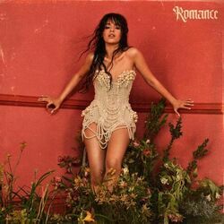 Never Be The Same - Shameless - In The Dark Acoustic Chords by Camila Cabello