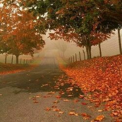 Octobre Ukulele Chords by Francis Cabrel