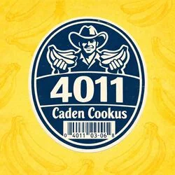 4011 Chords by Caden Cookus