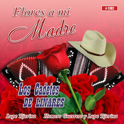 Madrecita De Mi Vida Chords by Cadetes De Linares