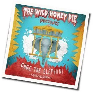 Telescope Bass Tab by Cage The Elephant