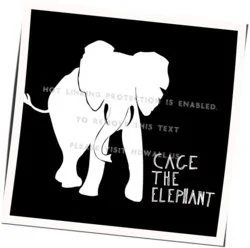 The Family Secret Chords by Cage The Elephant