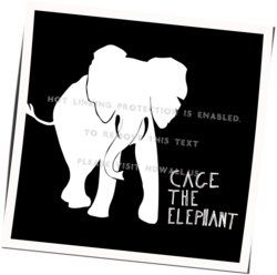 The Family Secret by Cage The Elephant