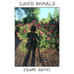 Wildflowers Chords by Caged Animals