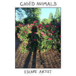 Wildflowers Chords by Caged Animals