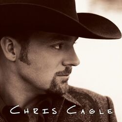 Take It Like A Man by Chris Cagle