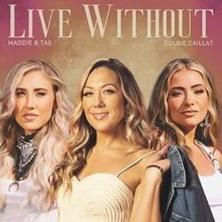Live Without Chords by Colbie Caillat