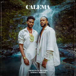 Amar Pela Metade Chords by Calema