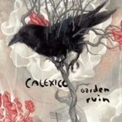 All Systems Red Chords by Calexico