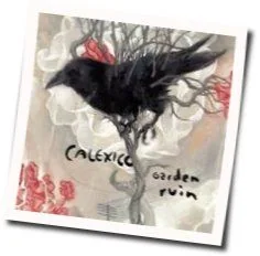 Letter To Bowie Knife Tab by Calexico
