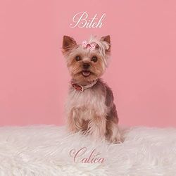 Bitch Chords by Calica