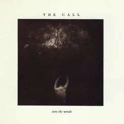 It Could Have Been Me Chords by The Call