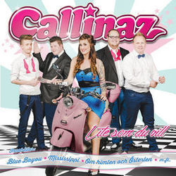 Country Love Song Chords by Callinaz