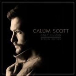 Give Me Something by Calum Scott