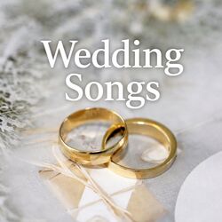 I Wanna Dance With Somebody Chords by Calum Scott