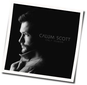 If Our Love Is Wrong by Calum Scott