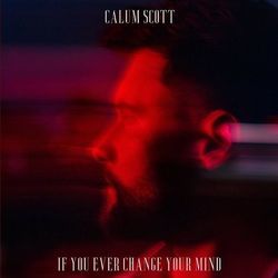 If You Ever Change Your Mind Chords by Calum Scott