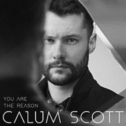 Calum Scott You Are The Reason Guitar Chords Guitar Chords Explorer