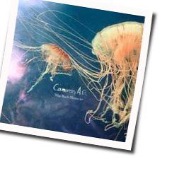 Cameron Ag chords for Way back home