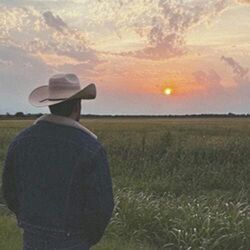 Cameron Hawthorn chords for Love at first sight