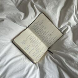 Mein Nächstes Leben Chords by Cami