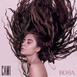 Querida Rosa Chords by Cami