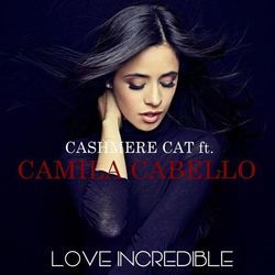 Love Incredible Chords by Camila Cabello Feat Cashmere Cat