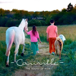 La Terre Chords by Camille
