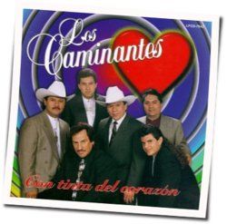Samba Do Tutut Chords by Caminantes