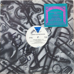 Camper Van Beethoven