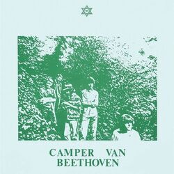 Were A Bad Trip Bass Tab by Camper Van Beethoven