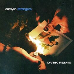 Strangers Chords by Camylio